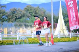 BIB: 
                            <button type="button" onclick="openModal(27832225)" class="btn btn-primary btn-sm float-right btn-popup" data-toggle="modal" data-target=".modal-high-quality">
                        <i class="fas fa-shopping-cart"></i> Add to Cart
                    </button>
                                            <button type="button" onclick="isThisMe(27832225, true)" class="btn btn-success btn-sm float-right btn-popup btn-isme hidden" data-toggle="tooltip" data-placement="bottom" title="นี่คือรูปของคุณใช่ไหม คลิกที่นี่เพื่อเอาเข้าอัลบั้ม">
                        <i class="fas fa-plus"></i> Add to album
                    </button>
                    <button type="button" onclick="isThisMe(27832225, false)" class="btn btn-warning btn-sm float-right btn-popup btn-isnotme hidden">
                        <i class="fas fa-ban"></i> Remove from album
                    </button>